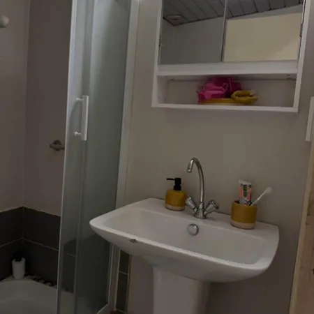 Le Splendid - Hypercentre - Proche Opera & Parcs - Thermes *