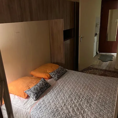 Le Splendid - Hypercentre - Proche Opera & Parcs - Thermes Apartman *