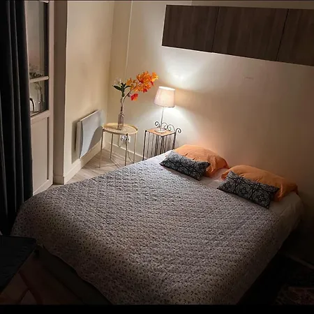 Le Splendid - Hypercentre - Proche Opéra&parcs - Thermes Apartamento