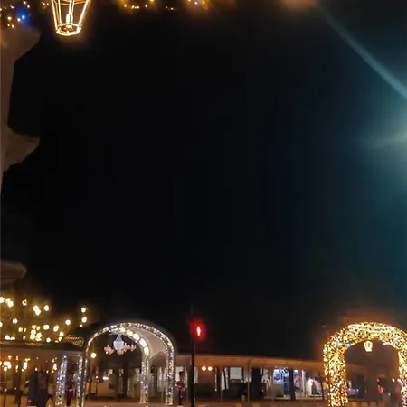 Le Splendid - Hypercentre - Proche Opéra&parcs - Thermes Apartamento