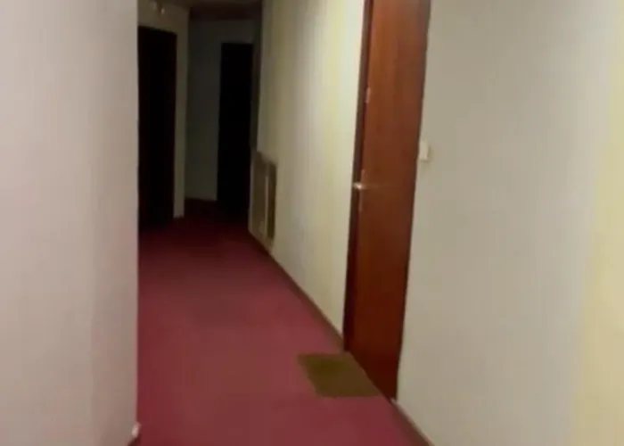 Le Splendid - Hypercentre - Proche Opera & Parcs - Thermes *