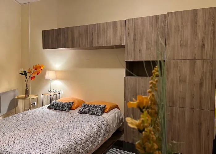 Le Splendid - Hypercentre - Proche Opera & Parcs - Thermes *