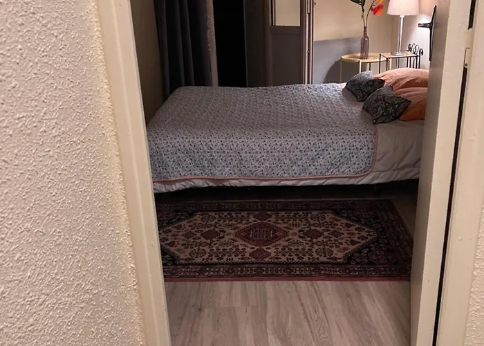 Le Splendid - Hypercentre - Proche Opéra&parcs - Thermes Apartamento