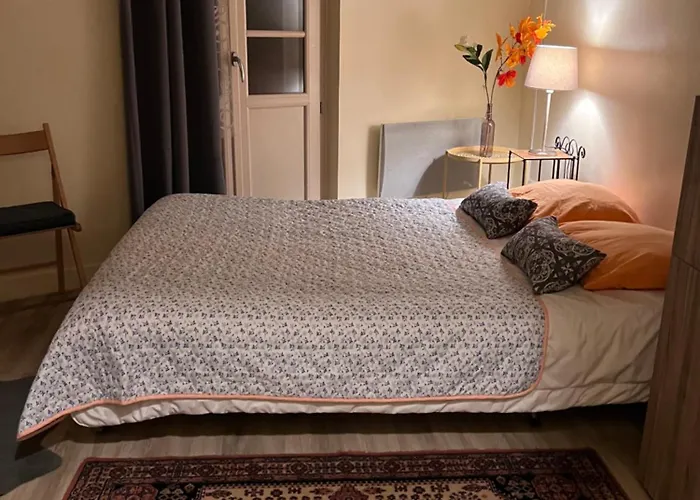 Le Splendid - Hypercentre - Proche Opera & Parcs - Thermes * Виши