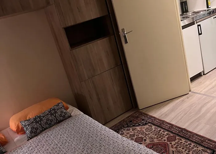 Le Splendid - Hypercentre - Proche Opera & Parcs - Thermes