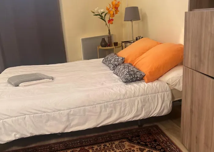 Апартаменты Le Splendid - Hypercentre - Proche Opera & Parcs - Thermes