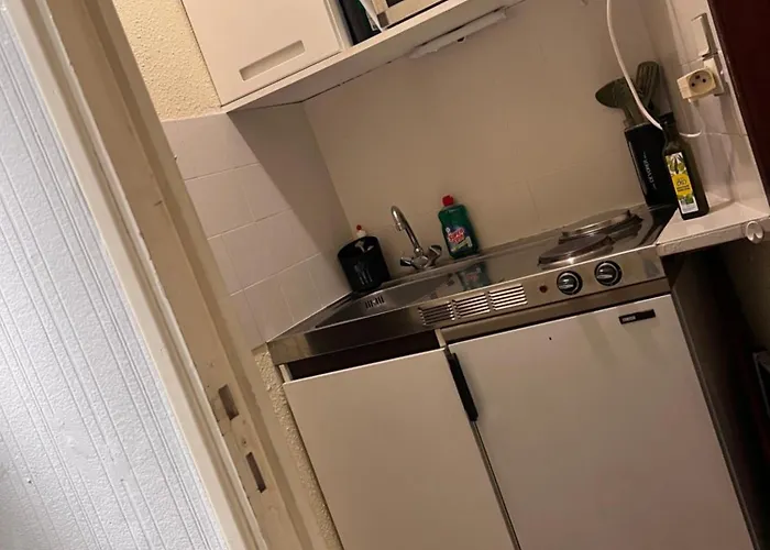 Le Splendid - Hypercentre - Proche Opera & Parcs - Thermes *