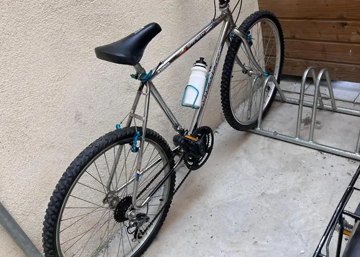 Le Splendid - Hypercentre - Proche Opera & Parcs - Thermes Апартаменты