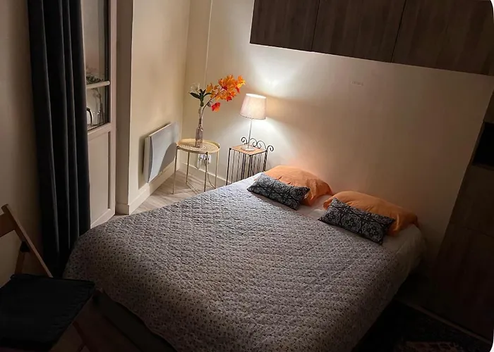 Le Splendid - Hypercentre - Proche Opera & Parcs - Thermes