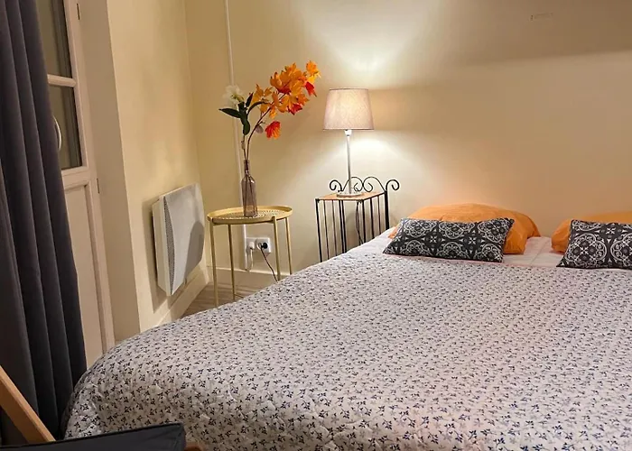 Le Splendid - Hypercentre - Proche Opera & Parcs - Thermes * Виши