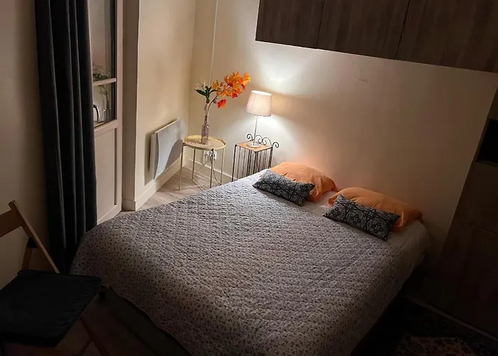 Le Splendid - Hypercentre - Proche Opera & Parcs - Thermes Апартаменты