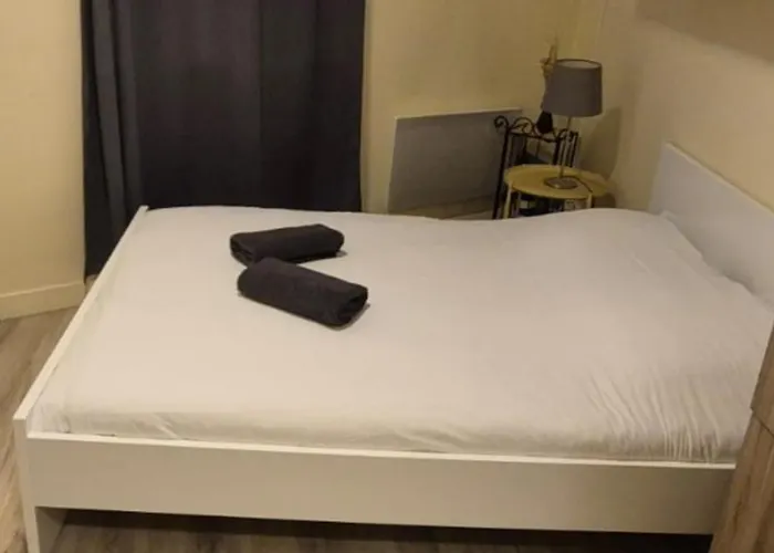 Апартаменты Le Splendid - Hypercentre - Proche Opera & Parcs - Thermes *