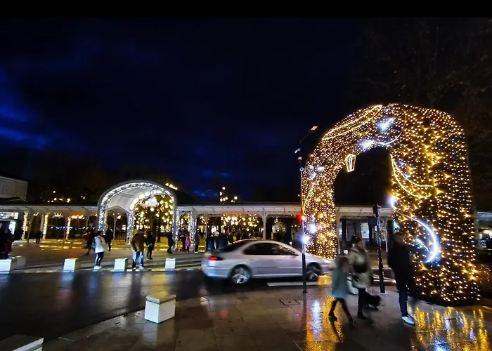 Апартаменты Le Splendid - Hypercentre - Proche Opera & Parcs - Thermes Виши