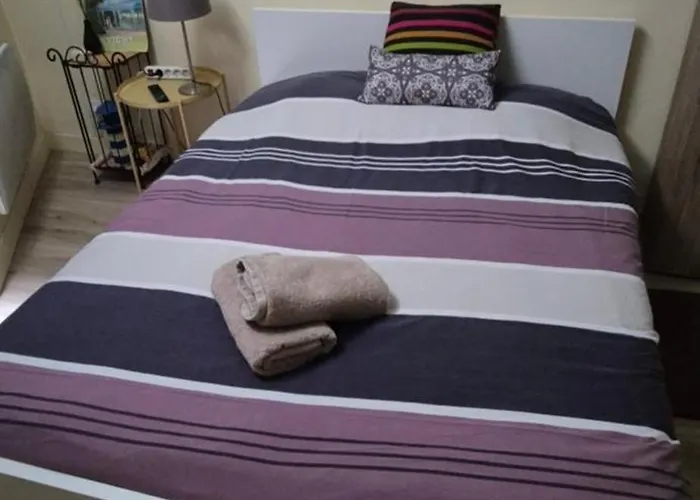 Le Splendid - Hypercentre - Proche Opera & Parcs - Thermes