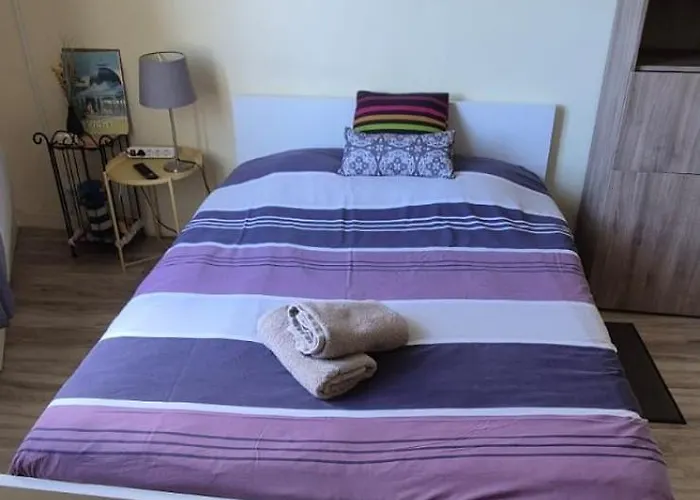 Le Splendid - Hypercentre - Proche Opera & Parcs - Thermes Апартаменты *